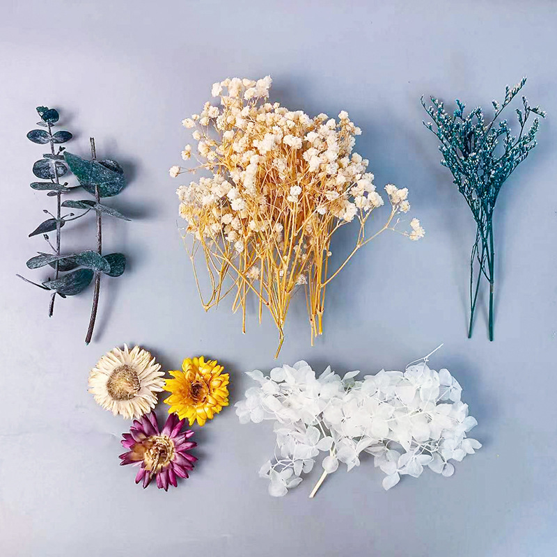 1pack Multifarious Dried Flowe - Craft Embellishment 评论和价格