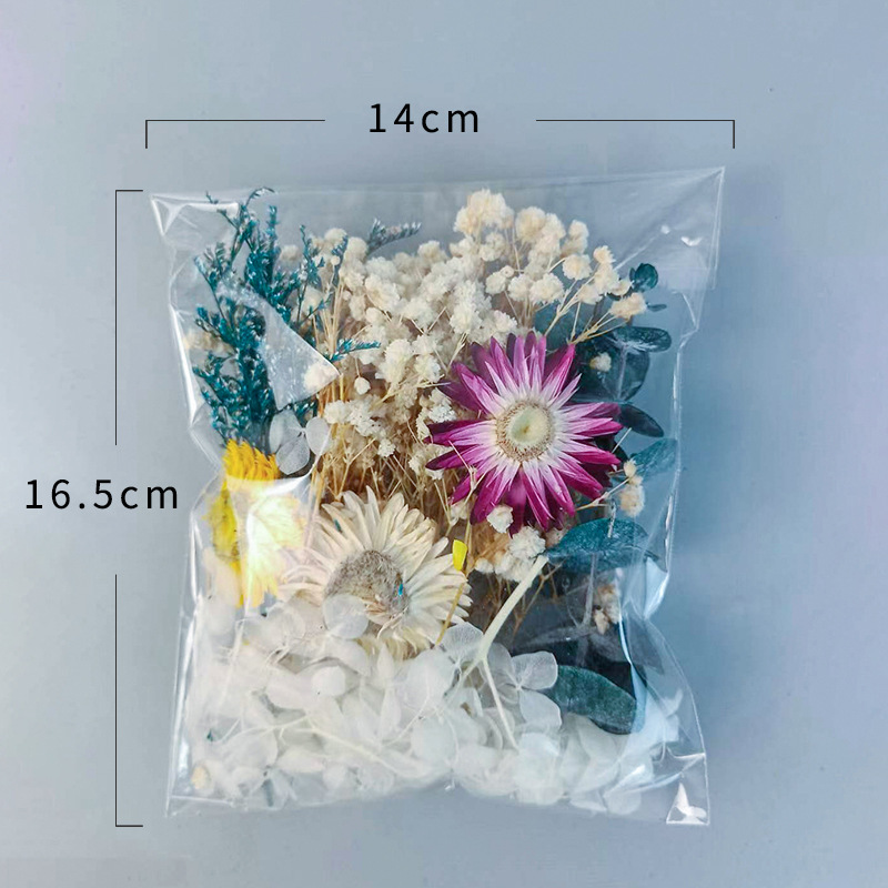 1pack Multifarious Dried Flowe - Craft Embellishment 评论和价格
